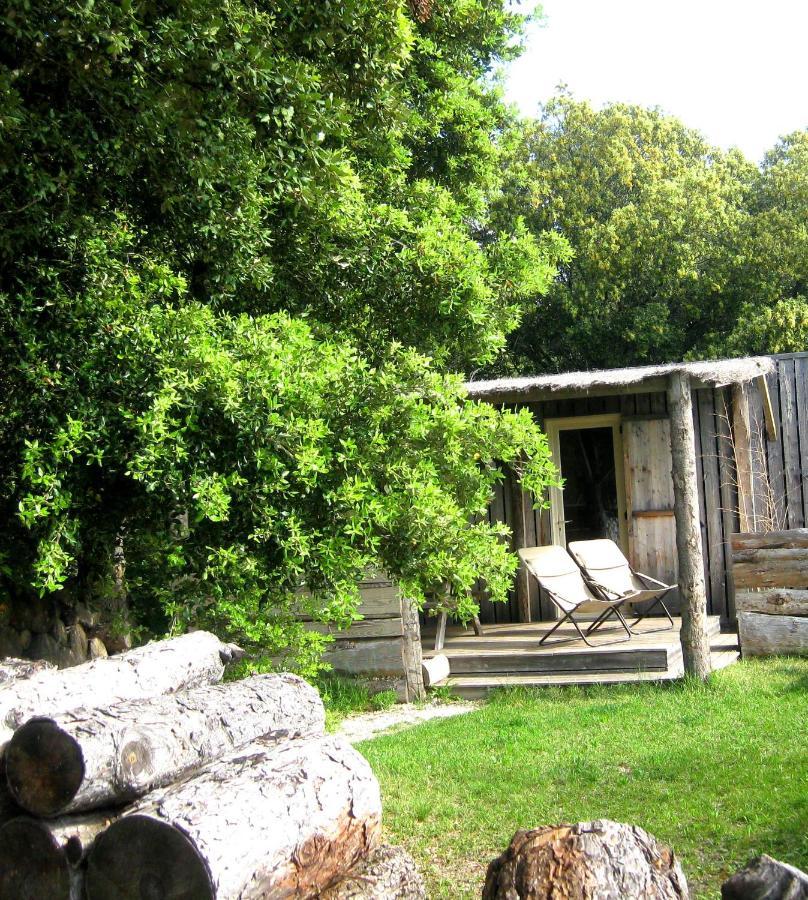 Lodges En Provence - Ecogites & Restaurant Insolites Richerenches 외부 사진