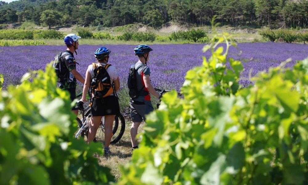 Lodges En Provence - Ecogites & Restaurant Insolites Richerenches 외부 사진