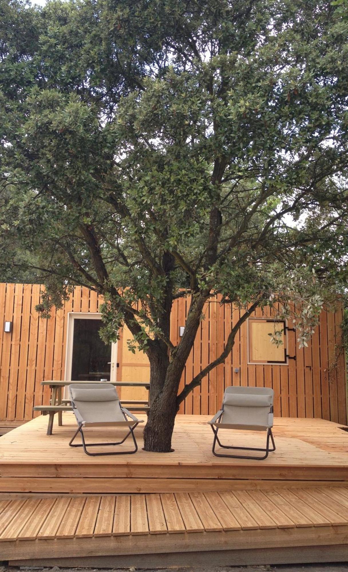 Lodges En Provence - Ecogites & Restaurant Insolites Richerenches 객실 사진