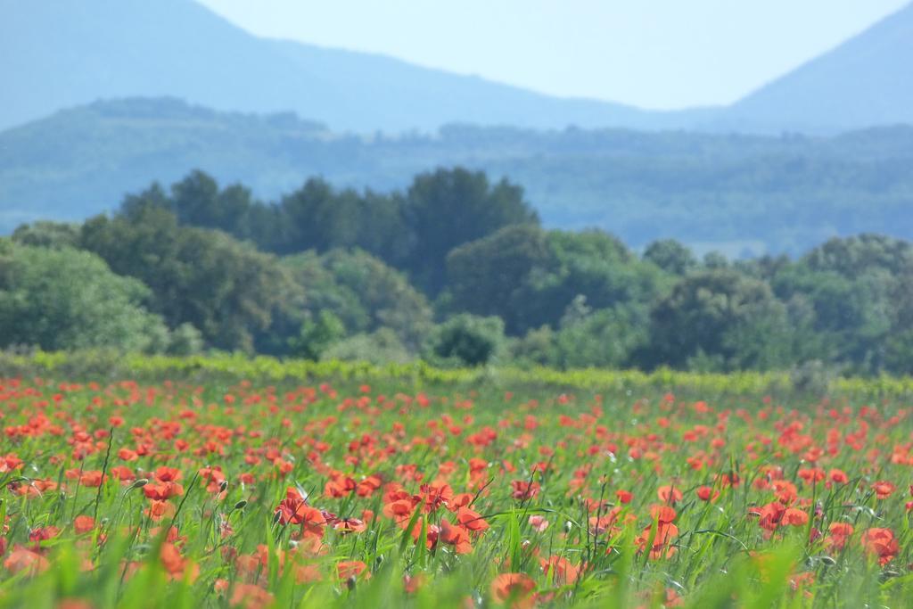 Lodges En Provence - Ecogites & Restaurant Insolites Richerenches 외부 사진